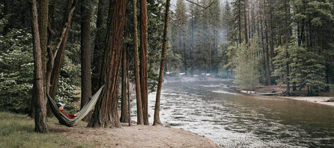 A person resting in a hammock strung between tall pines beside a wide river