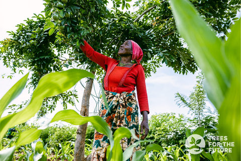Woman harvesting fruit from a tree in a lush field, showcasing sustainable farming with Trek Light initiative.
