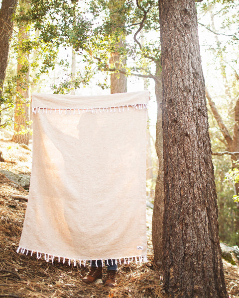 Person holding a Huntington Blanket in a sunlit forest, showcasing its cozy design and soft material.