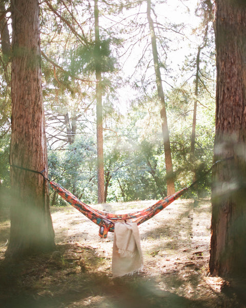 Double Hammock & Pro Hanging Straps (Midnight Mushroom Print) set between trees in a sunlit forest.