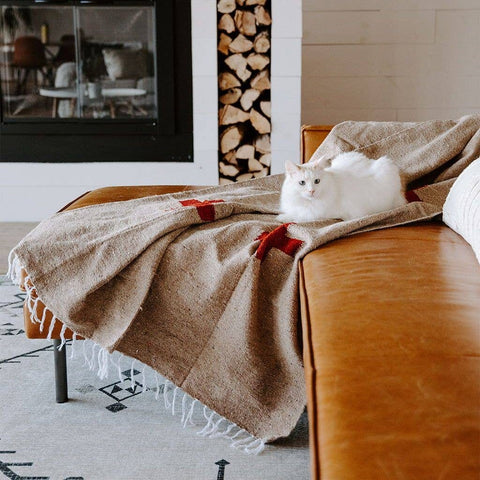 Cozy Positive Vibrations Blanket on a sofa, with a white cat lounging, perfect for home decor and warmth.