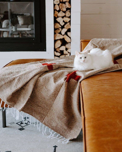 Cozy Positive Vibrations Blanket on a sofa, with a white cat lounging, perfect for home decor and warmth.