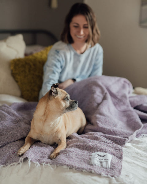 Cozy dog resting on a beautiful purple handwoven Sonoma Blanket, made from recycled clothing materials with a versatile design. By Trek Light.