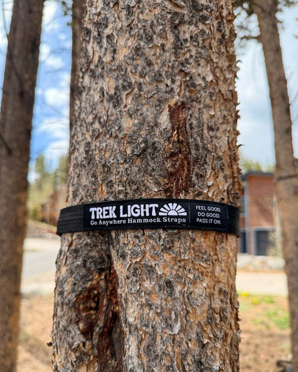 Go Anywhere Pro Hammock Straps securely attached to a tree, demonstrating tree-friendly and adjustable design.