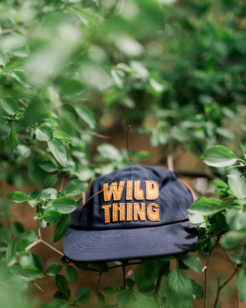 Wild Thing Kids Hat resting on green foliage, showcasing a playful design for adventurous children.