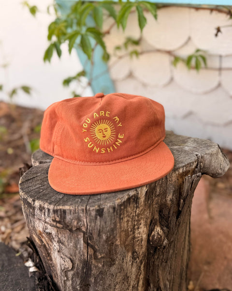 You Are My Sunshine Hat displayed on a rustic wooden stump, featuring a vibrant orange color and cheerful design.