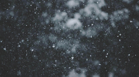 Snow falling at night against a dark, blurred backdrop of trees.