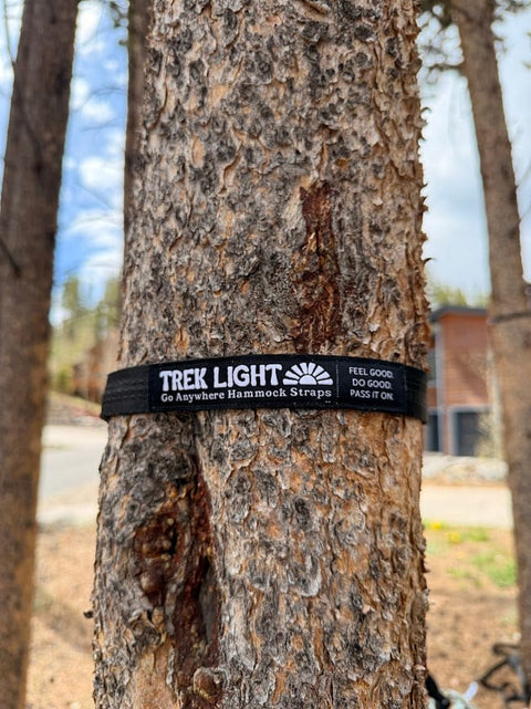 Tree friendly Trek Light hammock straps wrapped around a tree trunk