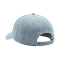 Book Worm Hat shown from the back, featuring a stylish and comfortable adjustable 6-panel design.