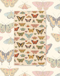 Butterfly Beauty Kitchen & Tea Towel with butterflies and moths in orange, yellow and green on a cream background