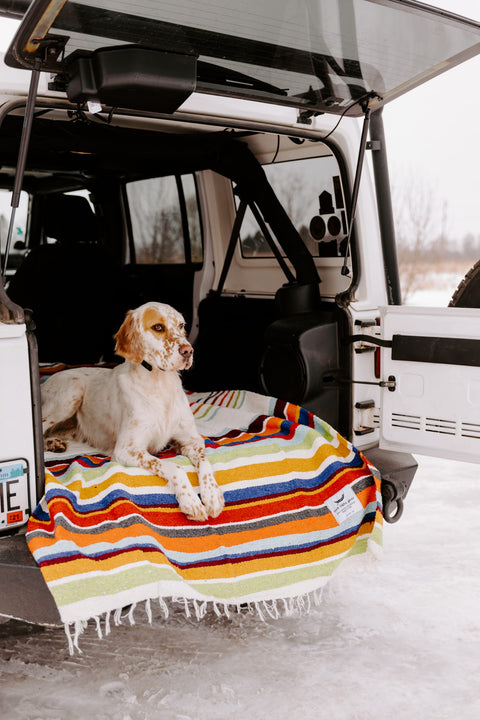Halley's Comet Blanket