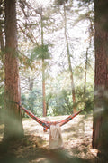 Double Hammock & Pro Hanging Straps (Midnight Mushroom Print)