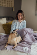 Cozy dog resting on a beautiful purple handwoven Sonoma Blanket, made from recycled clothing materials with a versatile design. By Trek Light.