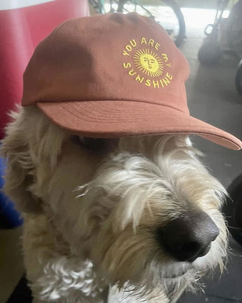 Lauren - You Are My Sunshine Hat - Twinsie Set