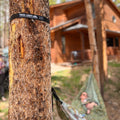 Tree strap from the Double Hammock & Pro Hanging Straps (River Trout Print) securely attached to a tree.