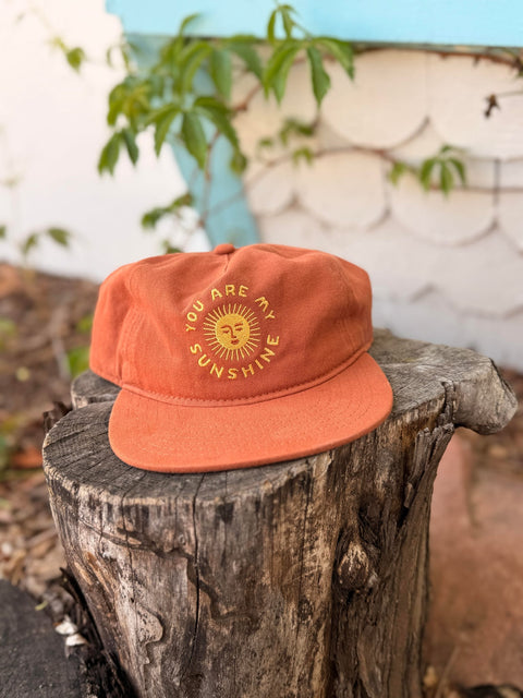 You Are My Sunshine Hat displayed on a rustic wooden stump, featuring a vibrant orange color and cheerful design.