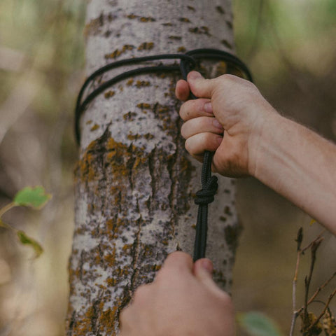 Hands setting up Trek Light Go Anywhere Rope Kit around a tree, perfect for easy hammock setup in the outdoors.