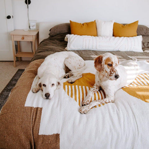 Two dogs lounging on a cozy Horizon Blanket, handwoven from recycled materials by Trek Light. Earth-toned bedroom setting.